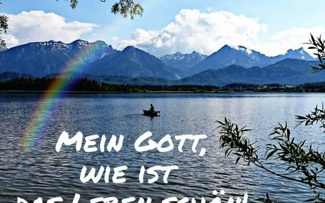 Pikantes Tomaten Würzsalz